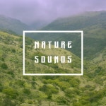 Nature Sounds - EP by Nature Recordings | Spotify Nature Sounds