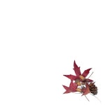 Camila Claridge - song and lyrics by Riryn | Spotify Camila Claridge