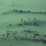 Todo Nosso Verde Acabou - song and lyrics by Decreto Lei 50 | Spotify Todo Nosso Verde Acabou