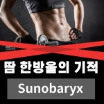 땀 한방울의 기적 - Single by Sunobaryx | Spotify