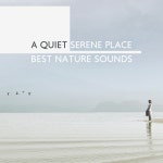 A Quiet Serene Place: Best Nature Sounds - Album by Exotic Nature Kingdom | Spotify A Quiet Serene Place: Best Nature Sounds