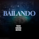 Bailando (Tech House) - song and lyrics by Ema Cisneros | Spotify Bailando (Tech House)