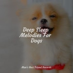 Deep Sleep Melodies For Dogs - Album by Music for Leaving Dogs Home Alone | Spotify Deep Sleep Melodies For Dogs