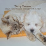Furry Dreams: Brown Noise Melodies for Blissful Pet Slumber - Album by Satisfying Brown Noise | Spotify Furry Dreams: Brown Noise... 