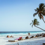 Reed Francis | Spotify Reed Francis