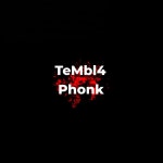Phonk - song and lyrics by TeMbl4 | Spotify Phonk