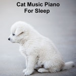Cat Music Piano For Sleep - Album by Music for dogs joys | Spotify Cat Music Piano For Sleep
