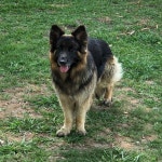 Aint Ur Bestie - Single by bluethekidd | Spotify Aint Ur Bestie