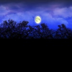 since the light died. - Single by gl0wplatinum | Spotify since the light died.