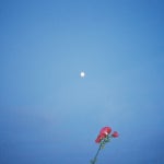 Joan | Spotify Joan