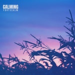 Calming - Single by fortecalm | Spotify Calming