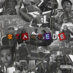 Stampede - song and lyrics by Buddah Abusah, Coolface Hippie Gang, Lotus Roxwell | Spotify Stampede
