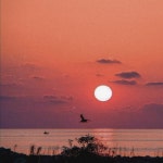 akşam güneşi - speed up - song and lyrics by Lil Tilki | Spotify akşam güneşi - speed up