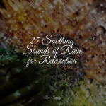 25 Soothing Sounds of Rain for Relaxation - Album by Meditation Relaxation Club, Regengeräusche, Naturaleza Relajacion | Spotify...