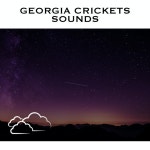 Georgia Crickets Sounds - Album by Cricket Sounds, Loopable Radiance, Crickets Chirping | Spotify Georgia Crickets Sounds