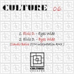 Culture 06 - Single by Elvis D | Spotify Culture 06