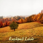 Kachipali Leishi - Single by Theithei Luithui | Spotify Kachipali Leishi