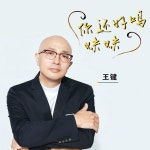 你还好吗 妹妹 - Single by 王键 | Spotify 你还好吗 妹妹
