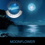 Moonflower - Single by Bluebird Beach Club | Spotify Moonflower