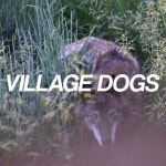 Village Dogs - Single by Troubled Sleepers | Spotify Village Dogs