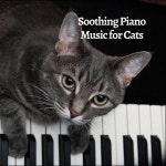 Soothing Piano Music for Cats - Album by Piano Cat | Spotify Soothing Piano Music for Cats