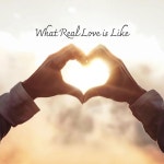 What Real Love is Like - Single by Seth Addison | Spotify