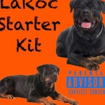 Starter Kit - Single by LaRoc | Spotify Starter Kit
