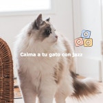 Calma a tu gato con jazz - Album by Instrumental Hotel Lounge | Spotify Calma a tu gato con jazz