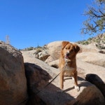 Song 103 - song and lyrics by Ellis B | Spotify Song 103