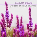 Wonders Of Healing Nature - Original Mix - song by Calcutta Dreams | Spotify Wonders Of Healing Nature - Original Mix