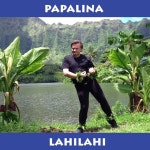 Papalina Lahilahi - song and lyrics by George K. | Spotify Papalina Lahilahi