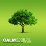 Calm (Guided Yoga Nidra Meditation) - song and lyrics by Elena Mironov | Spotify Calm (Guided Yoga Nidra Meditation)
