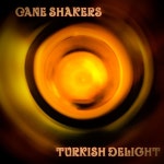 Turkish Delight - Single by Cane Shakers | Spotify Turkish Delight