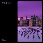 Violet - song and lyrics by Seth Bluebird | Spotify Violet