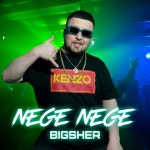 Nege Nege - Single by BIGSHER | Spotify Nege Nege