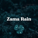 Delightful Rain (in the Forest) - song and lyrics by Zama Rain | Spotify Delightful Rain (in the Forest)