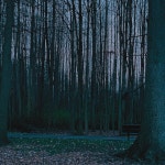 Feed me more - song and lyrics by Paveway | Spotify Feed me more