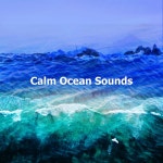 ! ! ! ! ! Calm Ocean Sounds ! ! ! ! ! - Album by Calm Ocean Sounds, Wave Sound Group, Beach Sounds | Spotify ! ! ! ! ! Calm Ocean... 