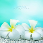 햇살 내리는 거리 - song and lyrics by 지초 | Spotify 햇살 내리는 거리