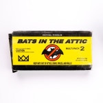 Bats in the Attic - song and lyrics by Royal Fools | Spotify Bats in the Attic