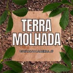 Terra Molhada - song and lyrics by Gustavo Lacerda JP | Spotify Terra Molhada