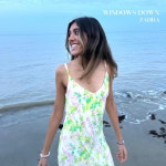 무니스윔 | Windows Down - Single by Zahra | Spotify Windows Down