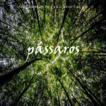 Som Ambiente para Meditação: Pássaros, Pt. 21 - song and lyrics by Meditação Yoga, Meditação Música Ambiente, Oasis... 