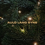 Auld Lang Syne (Acoustic Session) - Single by Lexi Berg | Spotify Auld Lang Syne (Acoustic Session)
