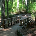 Levantarse - song by Round the Globe, Paolamadelaine | Spotify Levantarse