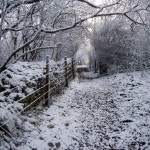 Stopping by the Woods on a Snowy Evening - Single by Steven Blane | Spotify Stopping by the Woods on a Snowy Evening