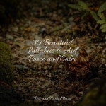 30 Beautiful Lullabies to Aid Peace and Calm - Album by Childrens Music | Spotify 30 Beautiful Lullabies to Aid Peace and Calm