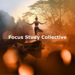 Focus Study Collective - Album by Focus Study | Spotify Focus Study Collective