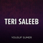 Teri Saleeb - Single by Yousuf Sumer, Terofina Daniel | Spotify Teri Saleeb