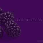 DarkerThaBerry - Single by 4 A.M. | Spotify DarkerThaBerry